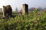 ruiny w opuszczonej wsi Tworylne, Park Karjobrazowy Doliny Sanu, Bieszczady