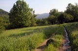 tereny opuszczonej wsi Tworylne, Park Karjobrazowy Doliny Sanu, Bieszczady