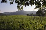 tereny opuszczonej wsi Tworylne, Park Karjobrazowy Doliny Sanu, Bieszczady