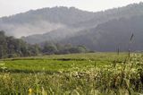 tereny opuszczonej wsi Tworylne, Park Karjobrazowy Doliny Sanu, Bieszczady