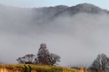 poranne mgły na Tworylnem pod Otrytem, Park Krajobrazowy Doliny Sanu, Bieszczady