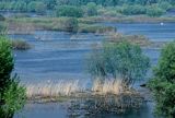 Rezerwat Słońsk Park Narodowy Ujście Warty