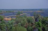 Rezerwat Słońsk Park Krajobrazowy Ujście Warty, Park Narodowy Ujście Warty