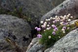 Vasholmarna, Szwecja Zachodnia, Skagerrak, Västra Götaland