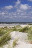 wydmy na wyspie Vlieland, Wyspy Fryzyjskie, Holandia, Waddensee, Morze Wattowe