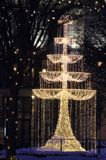 świąteczna iluminacja Warszawy, Trakt Królewski, Krakowskie Przedmieście