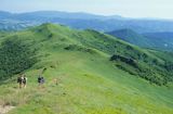 Bieszczady na szlaku na Rozsypaniec