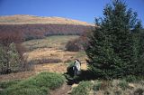 Bieszczady pod Połonią Caryńską