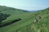 Bieszczady na szlaku na Halicz