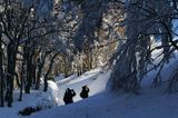 W lesie, Bieszczady