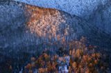 Bieszczadzkie lasy, widok z Połoniny Wetlińskiej, Bieszczady