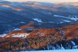 Bieszczadzkie lasy, widok z Połoniny Wetlińskiej, Bieszczady