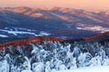 Bieszczadzkie lasy, widok z Połoniny Wetlińskiej, Bieszczady