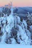 Bieszczadzkie lasy, widok z Połoniny Wetlińskiej, Bieszczady