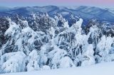 Bieszczadzkie lasy, widok z Połoniny Wetlińskiej, Bieszczady