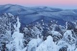 Bieszczadzkie lasy, widok z Połoniny Wetlińskiej, Bieszczady