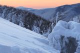 Na Połoninie Wetlińskiej, w tle Tarnica, Bieszczady