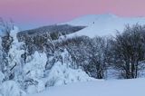 Na Połoninie Wetlińskiej, Bieszczady