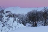 Na Połoninie Wetlińskiej, Bieszczady