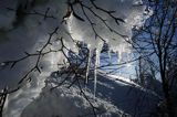 Sople na stoku Połoniny Wetlińskiej, Bieszczady