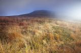 Połonina Wetlińska, Bieszczady