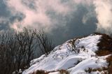 W chmurach, poranek na Wetlińskiej, Bieszczady