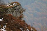 Portret czarownicy, poranek na Wetlińskiej, Bieszczady