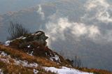 W chmurach, poranek na Wetlińskiej, Bieszczady