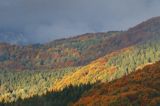 W chmurach, poranek na Wetlińskiej, Bieszczady