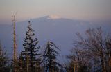 Beskid Śląski - widok ze Skrzycznego na Pilsko