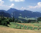 Pieniny, widok z Palenicy na Sokolnicę