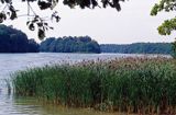 Wielkopolska jezioro Góreckie Wielkopolski Park Narodowy