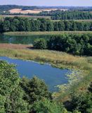 nad jez. Wigry, Wigierski Park Narodowy, widok z wieży widokowej