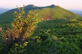 o świcie na Połoninie Wetlińskiej, Bieszczady