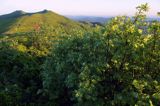 o świcie na Połoninie Wetlińskiej, Bieszczady