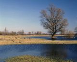 wiosenne rozlewiska Bugu Nadbużański Park Krajobrazowy