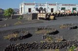 Wyspy Kanaryjskie, winiarnia w La Geria, Lanzarote