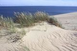 Neringa, Wydma na Mierzei Kurońskiej, Zalew Kuroński, Park Narodowy Mierzei Kurońskiej, Litwa Neringa, diunes, Curonian Spit, Coronian Lagoon, Curonian Spit National Park, Lithuania