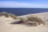 Neringa, Wydma na Mierzei Kurońskiej, Zalew Kuroński, Park Narodowy Mierzei Kurońskiej, Litwa Neringa, diunes, Curonian Spit, Coronian Lagoon, Curonian Spit National Park, Lithuania