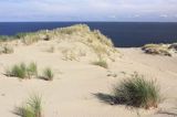 Neringa, Wydma na Mierzei Kurońskiej, Zalew Kuroński, Park Narodowy Mierzei Kurońskiej, Litwa Neringa, diunes, Curonian Spit, Coronian Lagoon, Curonian Spit National Park, Lithuania