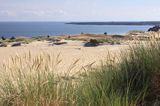 Neringa, Wydma na Mierzei Kurońskiej, Zalew Kuroński, Park Narodowy Mierzei Kurońskiej, Litwa Neringa, diunes, Curonian Spit, Coronian Lagoon, Curonian Spit National Park, Lithuania