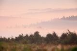 mgły o świcie na górze koło wsi Wydrna, Pogórze Dynowskie