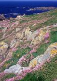 Wyspa Lihou w okolicach Guernsey) Channel Islands - Wyspy Normandzkie