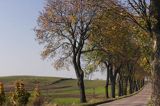 Park Krajobrazowy Wzgórz Dylewskich, Mazury