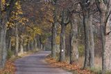 Park Krajobrazowy Wzgórz Dylewskich, Mazury