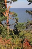 Zalew Kuroński, Mierzeja Kurońska, Nida, Neringa, Litwa Curonian Spit, Curonian Lagoon, Neringa, Nida, Lithuania