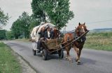 Wóz z ludźmi ciągnięty przez konia