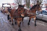 Zapusty Radziłowskie 2009, Radziłów, Podlasie