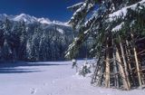 Polana Zgorzelisko, Podhale i Tatry, Polska