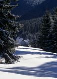 Zima na Polanie Chochołowskiej, Tatrzański Park Narodowy